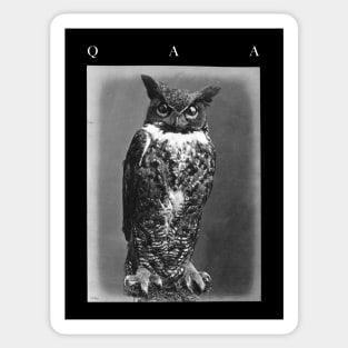 QAA Moloch the Owl T-Shirt (for dark backgrounds) Sticker